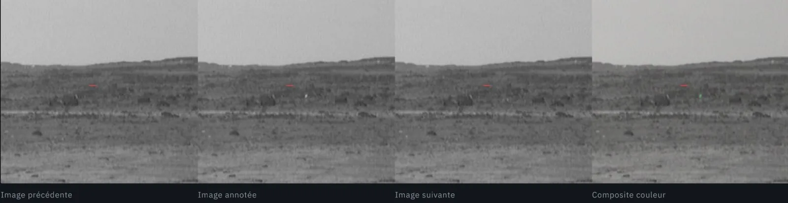 Image précédente, image annotée, image suivante et composite couleur